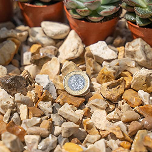 1 kg de gravier en ardoise pour dissuader les mauvaises herbes, le jardin, la terrasse, les allées – Copeaux dorés automnaux