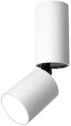 Applique da Parete a LED, faretto da soffitto per Interni, Regolabile, Retrattile, Montato a Vista, Lampada in Alluminio COB con Attacco Verso Il Basso/Lampada Girevole per Sale da