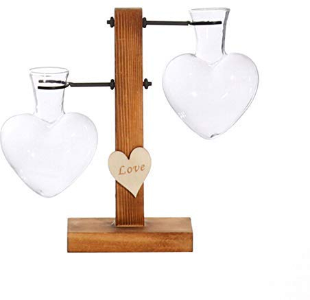 belupai Vases hydroponiques vintage, vase transparent, cadre en bois et verre pour plantes de table, décoration pour bonsaï