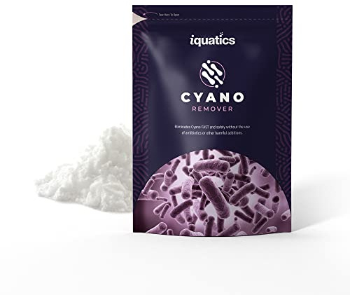 iQuatics Cyano Remover 75G – Red Slime Algae Treatment for Marine Aquariums – Reef-Safe, Fast-Acting & Easy to Use – Restores Clarity & Promotes Healthy Reef Conditions