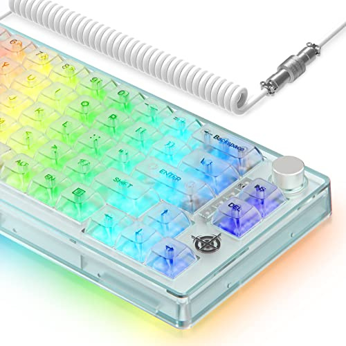 65% Hot-Swapped Wired Mechanical Gaming Keyboard with Coiled Cable-White | Transparent 66 Key,Full Side RGB,OWERTY,TKL,Linear Ice White Switch,Multimedia Knob,Programmable,2-IN-1 Case for WIN/PC/MAC