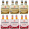 24er-Pack Testpaket San Pellegrino Cocktail Alkoholfreies Getränk + Ginger Beer Alkoholfreies Getränk mit Noten von Ingwer 20cl Einweg-Glasflasche