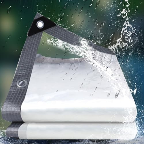 Telone Trasparente Occhiellato,tteloni Impermeabile Per Esterno Telo Plastica Polietilene Con Occhielli Trasparenti Occhiellati Tende Per Antipioggia Balcone(2x5m)