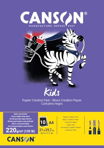 Canson 3148950015334 Cartolina Disegno A4, Confezione 10 Fogli, Colori Assortiti