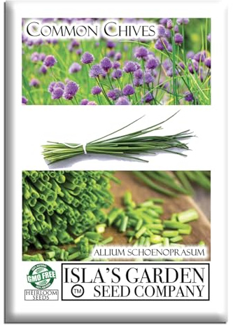 Common Chives Seeds for Planting, 1000+ Heirloom Seeds Per Packet, (Isla's Garden Seeds), Non GMO Seeds, Botanical Name: Allium tuberosum, Great Herb Garden Gift