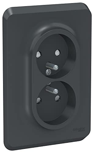 Schneider Electric - Unica - prise double 2P+T pour boîte 1P - FR - vis - Anthracite - méca + plaque - NU406954