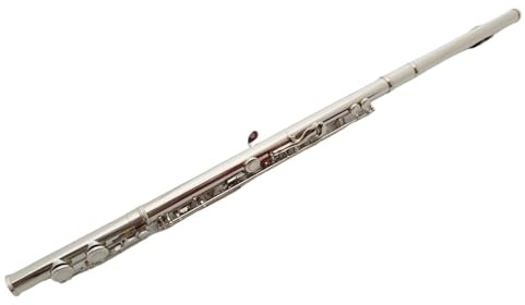 Flöte Für Anfänger Flöteninstrument Neusilberlegierung C-Taste Mit E-Taste Anfänger Erwachsene Professionelle Bandaufführung