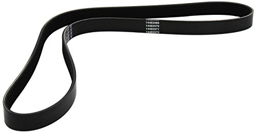Dayco 6PK1137 Poly Rib Belt