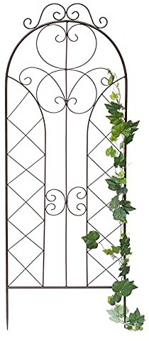 DanDiBo Rankhilfe für Kletterpflanzen Metall XXL H-150 cm B-50 cm mit Dekor 96017 Rankgitter Kletterhilfe