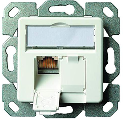 Telegärtner Datenanschlussdose Cat6A 2-Fach 2xRJ45 J00020A0500 AMJ45 8/8 UP/50 alpinweiß 5 V, Weiß (5 Dosen)