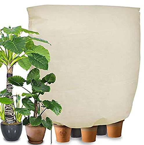 Winterschutz für Pflanzen Frostschutz, 240 x 200cm Frostschutz Schutzhaube mit Reißverschluss für Baum Palmen Balkonpflanzen haube Zelt Atmungsaktiv - Reißfest - Wiederverwendbar(Beige)