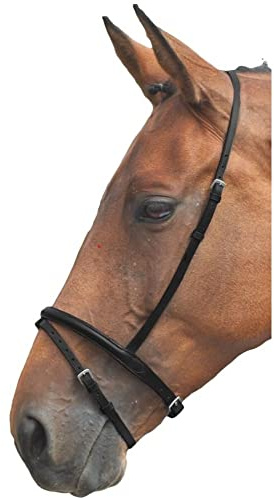 Flash-Nasenriemen Blenheim von Shires