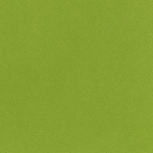 Bazzill Basics T5-5153 Card Shoppe Heavy Weight Cardstock, Easter Grass, 25 Sheet Pack, 12 x 12 Inches