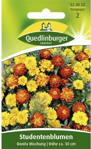 Quedlinburger Gefüllte Tagetes-Mischung, 1 Tüte Samen