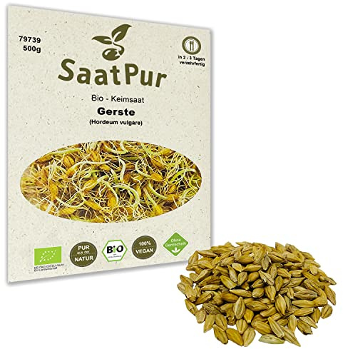 500g BIO Keimsprossen Gerste Gerstengrassaft Samen Microgreens Mikrogrün Sprossenanzucht Sprossensaat