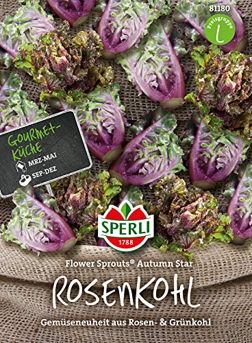 Sperli Gemüsesamen Rosenkohl Flower Sprouts Autumn Star, grün