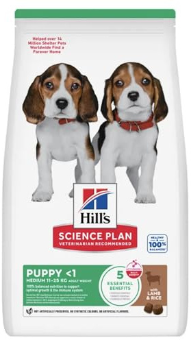 Hills Canine Puppy Healthy Development Lamm & Reis 12kg, 1er Pack (1 x 12 kg Packung)