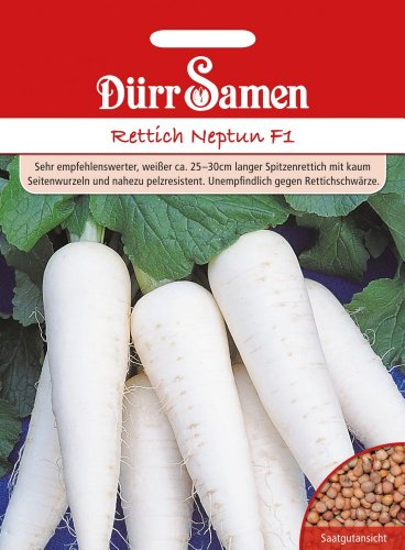 Dürr-Samen - Rettich Neptun F1 Saatgut