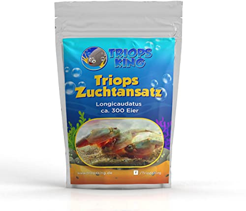 Triops King Longicaudatus Zuchtansatz mit ca. 300 Urzeitkrebs-Eiern/Zysten Deutschland - Züchte Deine eigenen Urzeitkrebse bei dir zu Hause im Aquarium