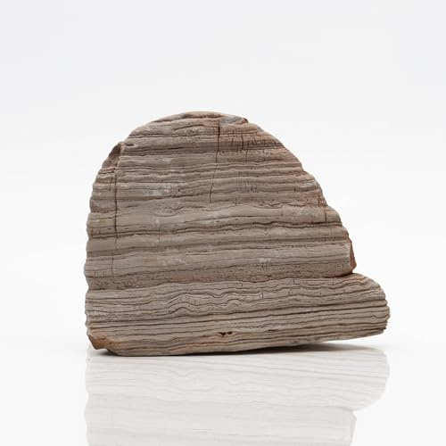 Amtra Fels Thousand Layer natürliche Dekoration für Aquarien, Kalkstein, ideal für Zen-Gärten, Gewicht 2-3,5 kg