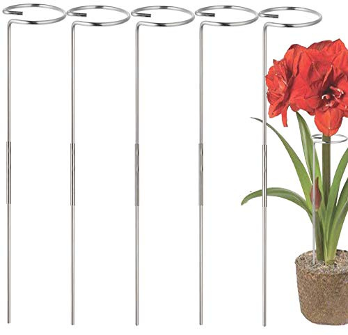 RAIKEDR 30 Inch Or 16 InchPlant Stakes for Flowers - 5 Pack (DIY), Stainless Steel Garden Tall Single Stem Support Stake Plant Cage Support Rings with Adjustable Height Fit Flowers, Plant Stable