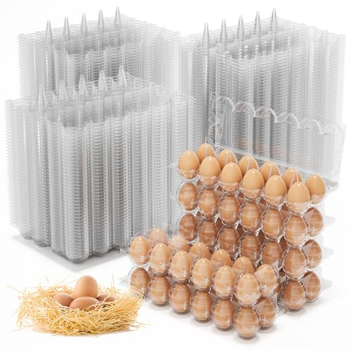 WENQUIT Confezione da 160 scatole per uova economiche sfuse, 12 contenitori per uova di gallina, in plastica trasparente, 2 x 6