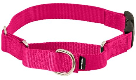 PetSafe Martingale-Hundehalsband mit Schnellverschluss-Schnalle, Größe M, 1,9 cm, Himbeere