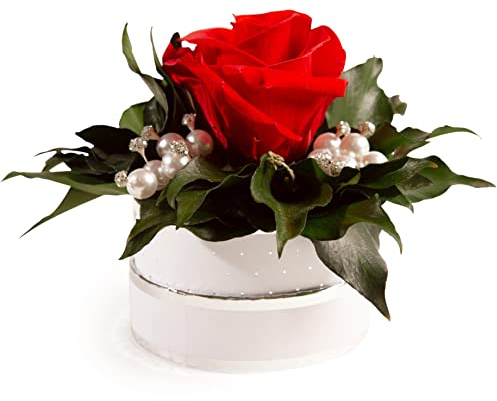Infinity Rosenbox Kristall und Perlen 1 echte Rose haltbar Mama Geschenk Muttertag (Rot)