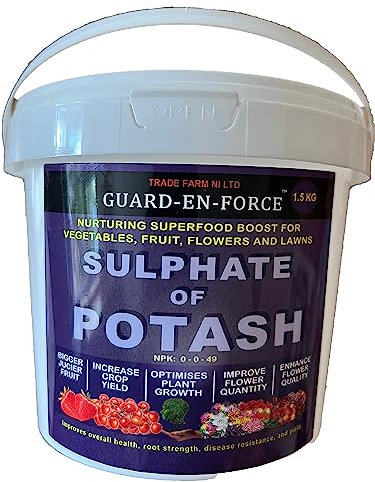 Sulphate of Potash 1.5 KG Nurturing Superfood Boost for Fruit, Flowers, Lawns, Vegetables and Plants. Especially Good Fertiliser for Tomatoes, Berries, Fruit Plants, and for Greener, Healthier Lawns