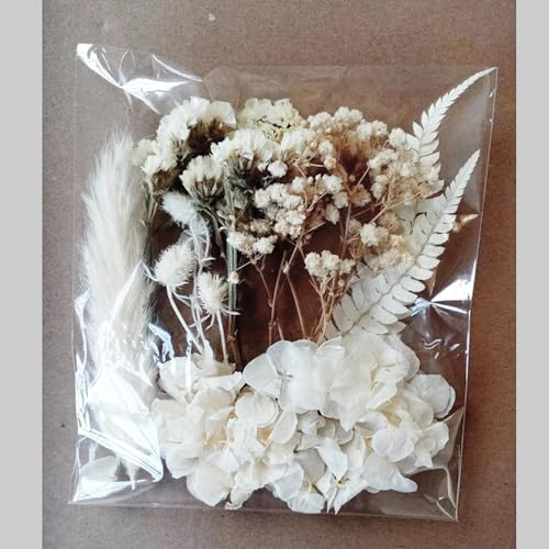 Wambere Trockenblumen Set,Natürliche Getrocknete Blumen,Trockenblumen zum Basteln,Immerwährende Blume,Getrocknete Gepresste Blumen,für DIY Kerze Harz Scrapbooking Handwerk Karten Machen,Weiß