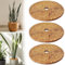 AUEFUDQ 3 Pièces 20cm Tapis de Coco, Tapis de Coco Protection, Tapis Coco Plantes, Disque de Paillage, pour Plantes en Pot, Protéger Les Racines des Plantes en Pot du Gel