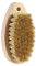 IKOPFLN 1 Pezzi Spazzola per Verdure, Spazzola a Fungo, 11 cm Legno e Peli di maiale, Setole Naturali: Per Fungo, Patate, Carote, Verdure - Spazzola per Radici