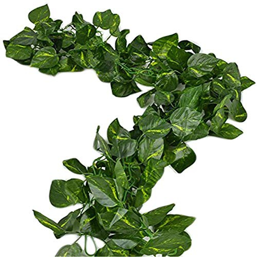 Charismau 168Ft Artificial Ivy Garland 24 Packs Fake Ivy Vines Fake Plants Hanging Vines for Indoor Outdoors Wedding Party Garden Decoration, Landscaping Fence Greenery (Scindapsus Leaves)