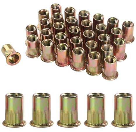 BOUMVID 20 Pezzi M8 Dado per Rivetto in Zincato Acciaio al Carbonio, Dadi a Crimpare Placcati in Zinco, Filettato Inserti Testa Piatta Rivet, Rotondi Rivetti Ciechi con Filettatura Filettati