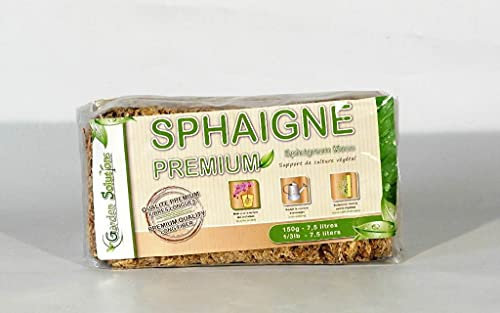 Sphaigne pour bonsaï chilien 150 gr.