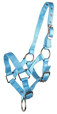 QHP Fohlenhalfter Halfter für Fohlen – Verstellbares Kopfstück für sicheren Halt – Nylon, 4 Größen, 6 Farben