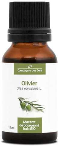 Olivier BIO - 15mL - (Olea Europaea) – Macérat concentré de bourgeons frais
