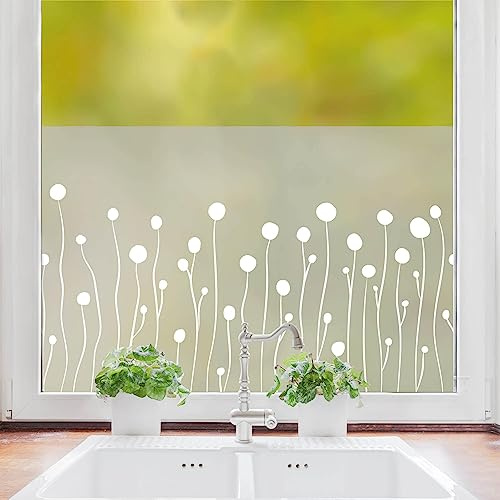 Sichtschutzfolie Craspedias Blumen Fensterfolie Fensterdeko Milchglasfolie, 55 cm hoch, 100 cm breit
