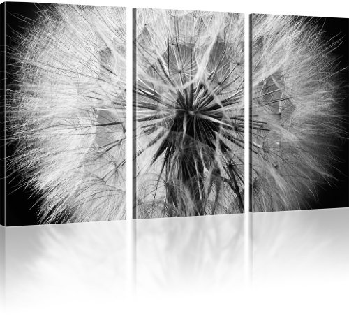 KL KUNSTLAB Pusteblume - Dandelion Bild auf Leinwand Besser als Poster - 135x80 cm 3-Teilig: Schwarz-Weiss