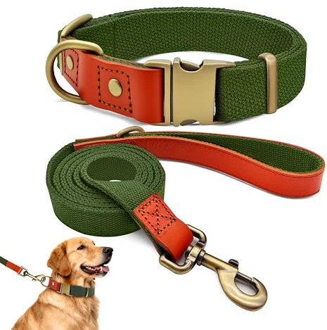 Hundehalsband und 150cm Leine Set XL, Nylon Leder Militärgrün | Extra Breites Set 2,5cm Für Sehr Große Hunde, Extrem Belastbar, Messing-Optik Schnalle, Langlebig Spaziergang & Training
