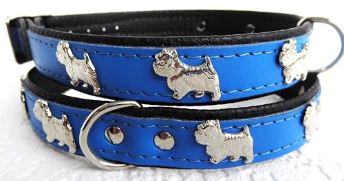 *Westie* Hunde Halsband, Echt Leder, Halsumfang 27-32cm, 30-36cm, 36-41cm, Dunkel Blau, NEU (Halsumfang 30-36cm/40cm)