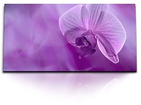 Paul Sinus Wandbild 120x60cm – Lila Orchidee auf Leinwand, moderne Fotokunst, elegante Blüte, Wanddekoration für Wohnzimmer, Schlafzimmer, Natur, Blumenkunst