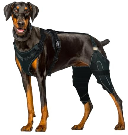 ACL-Kniestütze für Hunde, ACL-Kniestütze für Hunde - Verstellbare Hinterbeinstütze für Hunde,Canine Care CCL-Stützbandage, Hunde-Hinterbeinbandage für Hunde mit gerissenem Kreuzband-Hinterbein