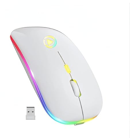 SUNDAS Souris sans Fil Bluetooth A2, rétroéclairage LED RVB, Ergonomique, pour Ordinateur Portable et PC - Souris Blanche