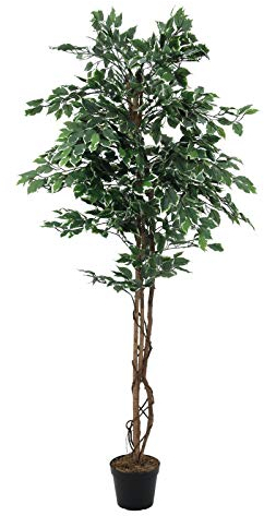 EUROPALMS Silberficus-Benjamini, Kunstpflanze, 180cm
