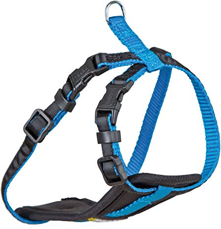 Kerbl Pet Geschirr für kleine Hunde S, neon blau