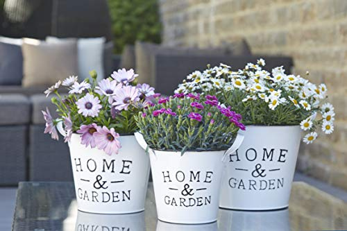 Klocke Pflanzgefäße Wunderschönes Zink Pflanzgefäß/Pflanztopf - Home & Garden - Indoor & Outdoor - Frostfest - Weißer Zinktopf/Zinkgefäß/Blumentopf/Tischdeko (Alle Größen im Sparset)