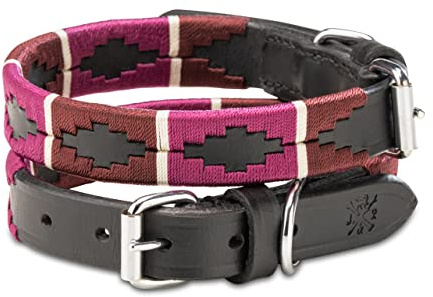 Jack & Russell Hundehalsband Leder – Polo Design, handgefertigt & verstellbar – Premium Lederhalsband für kleine & große Hunde, Pablo (XL (46,0-58,0cm)