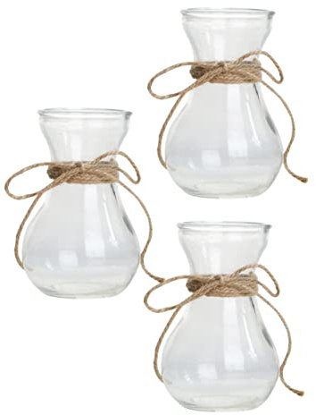 POPETPOP 3pièces Vase Verre Transparent pour Plantes Hydroponiques Récipient à Fleurs Support pour Plantes Décoratives
