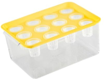LZVMLNQI Caja de cultivo hidropónico con 12 agujeros, fácil de usar para cultivar verduras en interiores, amarillo, 31 x 22 x 16 cm
